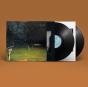 This Stupid World - Vinil - Preview