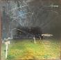 This Stupid World - Vinil - Preview