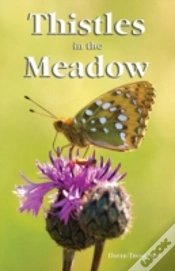 Capa do artigo Thistles In The Meadow