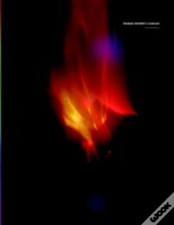 Capa do artigo Thomas Wilfred'S Clavilux