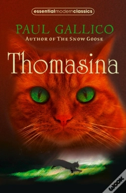 Capa do artigo Thomasina