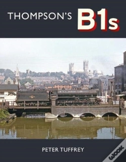 Capa do artigo Thompson'S B1s