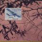 Thorny - Preview