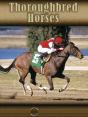 Thoroughbred Horses - Preview