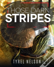 Capa do artigo Those Darn Stripes