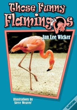 Capa do artigo Those Funny Flamingos