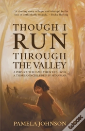 Capa do artigo Though I Run Through The Valley