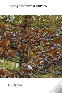 Capa do artigo Thoughts From A Forest