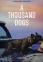 Thousand Dogs - Preview