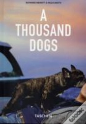 Capa do artigo Thousand Dogs
