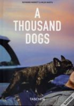Capa do artigo Thousand Dogs