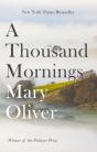 Thousand Mornings - Preview