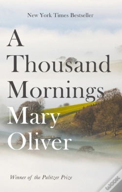 Capa do artigo Thousand Mornings