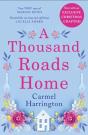 Thousand Roads Home - Preview
