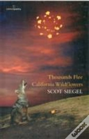 Capa do artigo Thousands Flee California Wildflowers