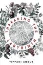 Threading The Labyrinth - Preview