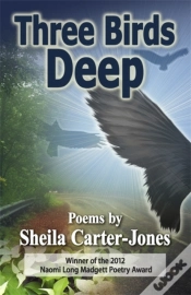 Capa do artigo Three Birds Deep