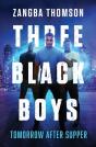 Three Black Boys - Preview