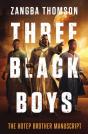 Three Black Boys - Preview