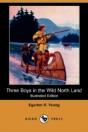 Three Boys In The Wild North Land (Illus - Preview