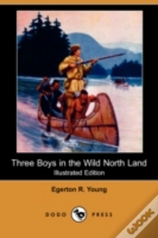 Capa do artigo Three Boys In The Wild North Land (Illus