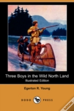 Capa do artigo Three Boys In The Wild North Land (Illus