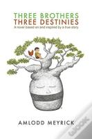 Three Brothers - Three Destinies