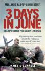 Three Days In June - Preview