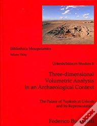 Three-Dimensional Volumetric Analysis In An Archaeological Context