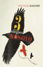 Three Elegies For Kosovo - Preview