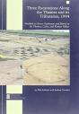 Three Excavations Along The Thames And Its Tributaries, 1994 - Preview
