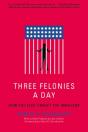 Three Felonies A Day - Preview