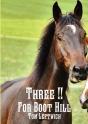 Three For Boot Hill - Preview