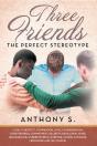 Three Friends...The Perfect Stereotype - Preview