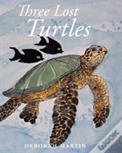Three Lost Turtles