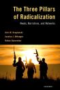Three Pillars Of Radicalization - Preview