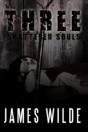 Three Shattered Souls - Preview