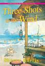 Three Shots To The Wind - Preview