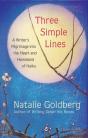 Three Simple Lines - Preview