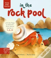 Three Step Stories: In The Rock Pool