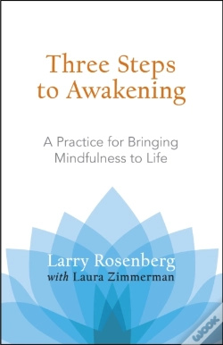 Capa do artigo Three Steps To Awakening