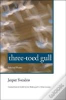 Three-Toed Gull