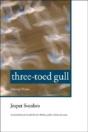 Three-Toed Gull - Preview
