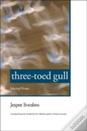 Capa do artigo Three-Toed Gull
