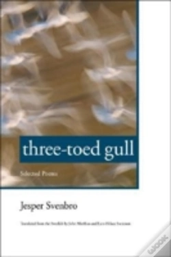 Capa do artigo Three-Toed Gull