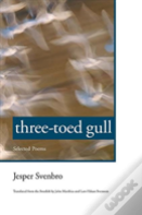 Three-Toed Gull