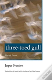 Capa do artigo Three-Toed Gull