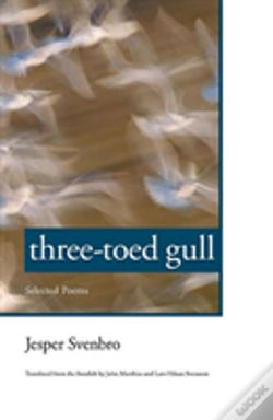 Capa do artigo Three-Toed Gull