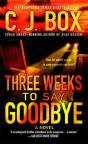 Three Weeks To Say Goodbye - Preview