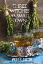 Three Witches In A Small Town - Preview